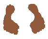 footprints brown