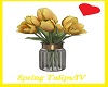IV/Yellow Spring Tulips