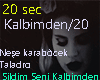 Sildim Seni Kalbimden