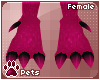 [Pets] Coralia | feet F