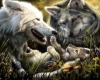 Wolf Family Pic