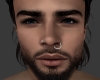 CVL Head 2