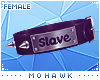 [MO] Collar "Slave" F