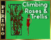 Climbing Roses & Trellis