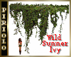 Wild Summer Ivy
