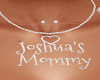 Joshua's Mommy Necklace