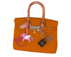 Charm Birks Orange