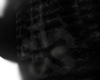 XPXXM