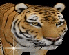 Tiger Pet Tiger Derivabl