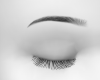 Nia Eyebrows