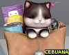 Bag w/ Cat