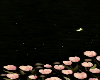 Cutout 227