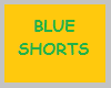 Blue Shorts (M)