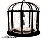 [xS]  Candle in Cage