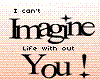 I cant Imagine