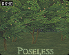 ⚡ Poseless Trees
