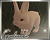 SG👑 Cute rabbit