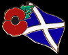 fem) scotish poppy badge