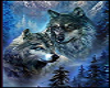 Wolf Wolves Picture Cutouts