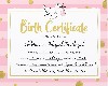 1PrincessAdeyaBirthCert
