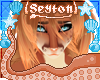 ✦ Jezza | Hair Layer