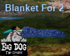 [BD] Blanket For 2