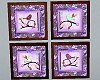 Lavender Lovebirds Pics