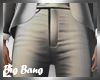 BB. Silver Shiny Pants