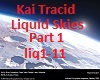 Kai Tracid Liquid Skies1