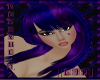 LIA|Blue&Purple|Hedda