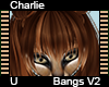 Charlie Bangs V2