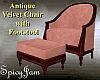 Antq Velvet Chair_Footst