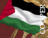 !A palestinian flag