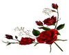Red Rose- R