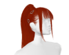 G GINGER