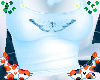 Morpho Top
