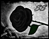 [SS] Black Rose