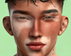 Dennys Special Skinâ¨