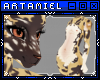 A* Casper | A Cat/Hyena