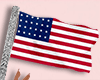 4th July Hand Flag