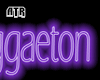 Reggaeton Neon Cartel