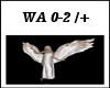 Angel  Dj Light