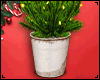 Mini Lit Pine Tree