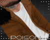 |P| Brown Coat V2