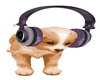 Rock N Roll Tan Puppy