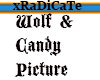Wolf & Candy Pic