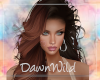 Dynasty Auburn2
