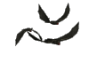 Animated Flyings Bats
