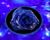 blue rose rug