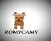 Puppy ReR